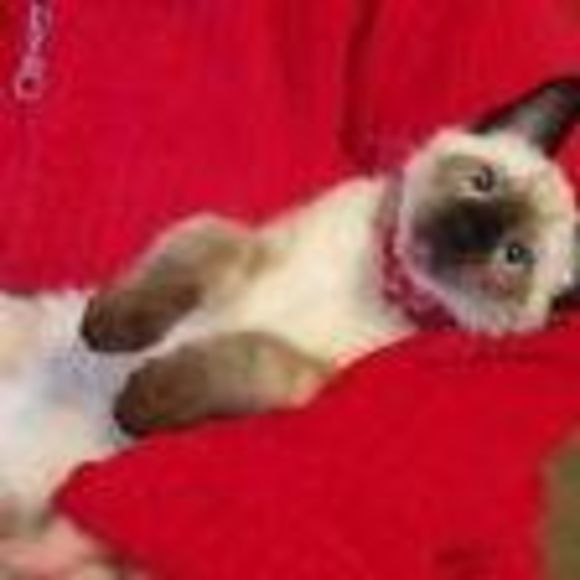 Meet your Posher, Lee - Picture 1 of 1